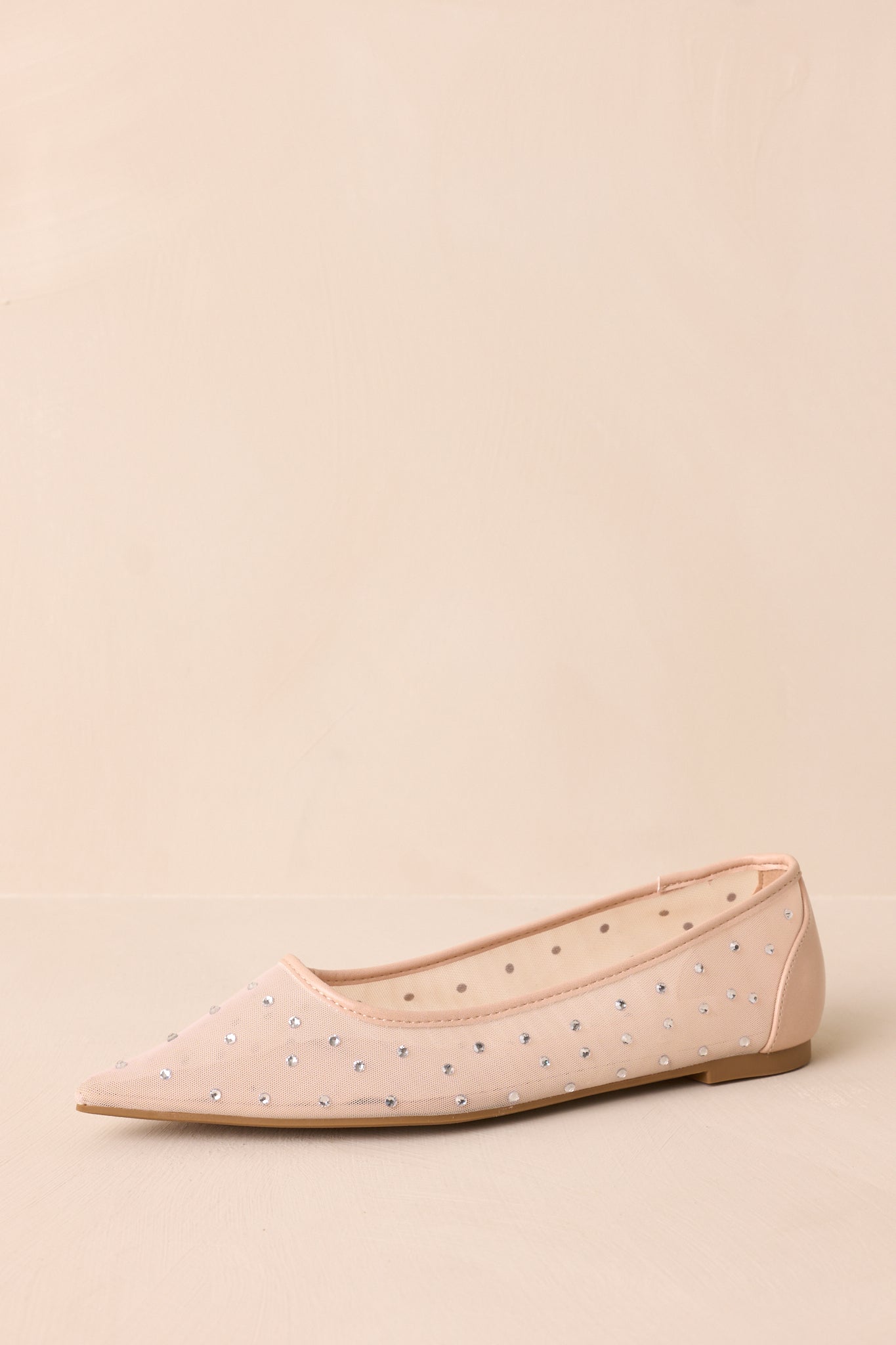 Shining Bright Nude Pointed Toe Mesh Ballet Flats