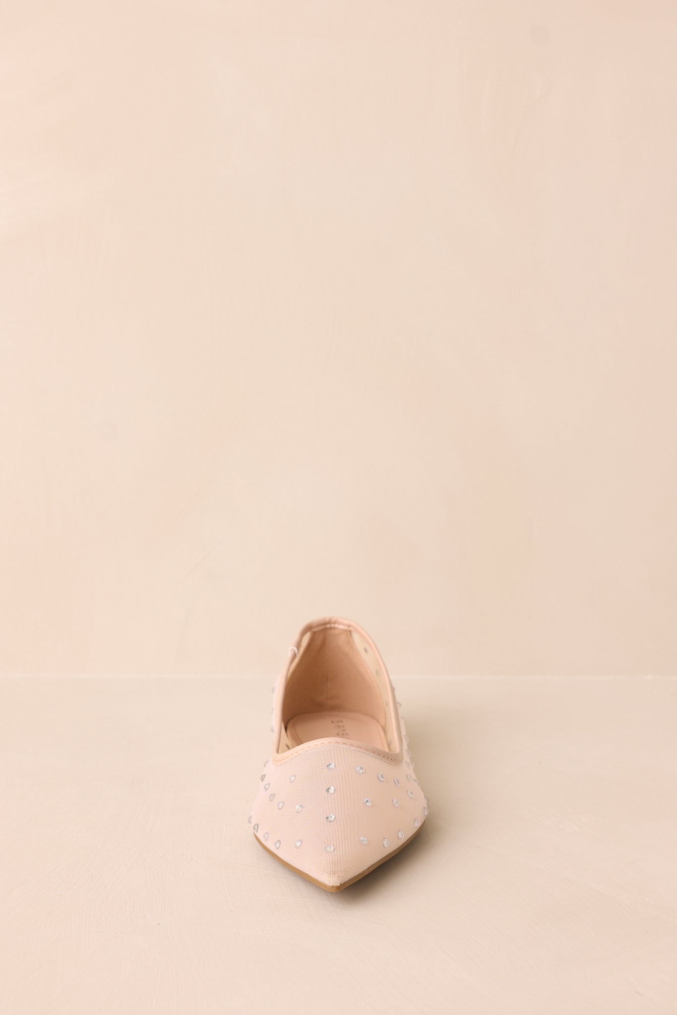 Shining Bright Nude Pointed Toe Mesh Ballet Flats