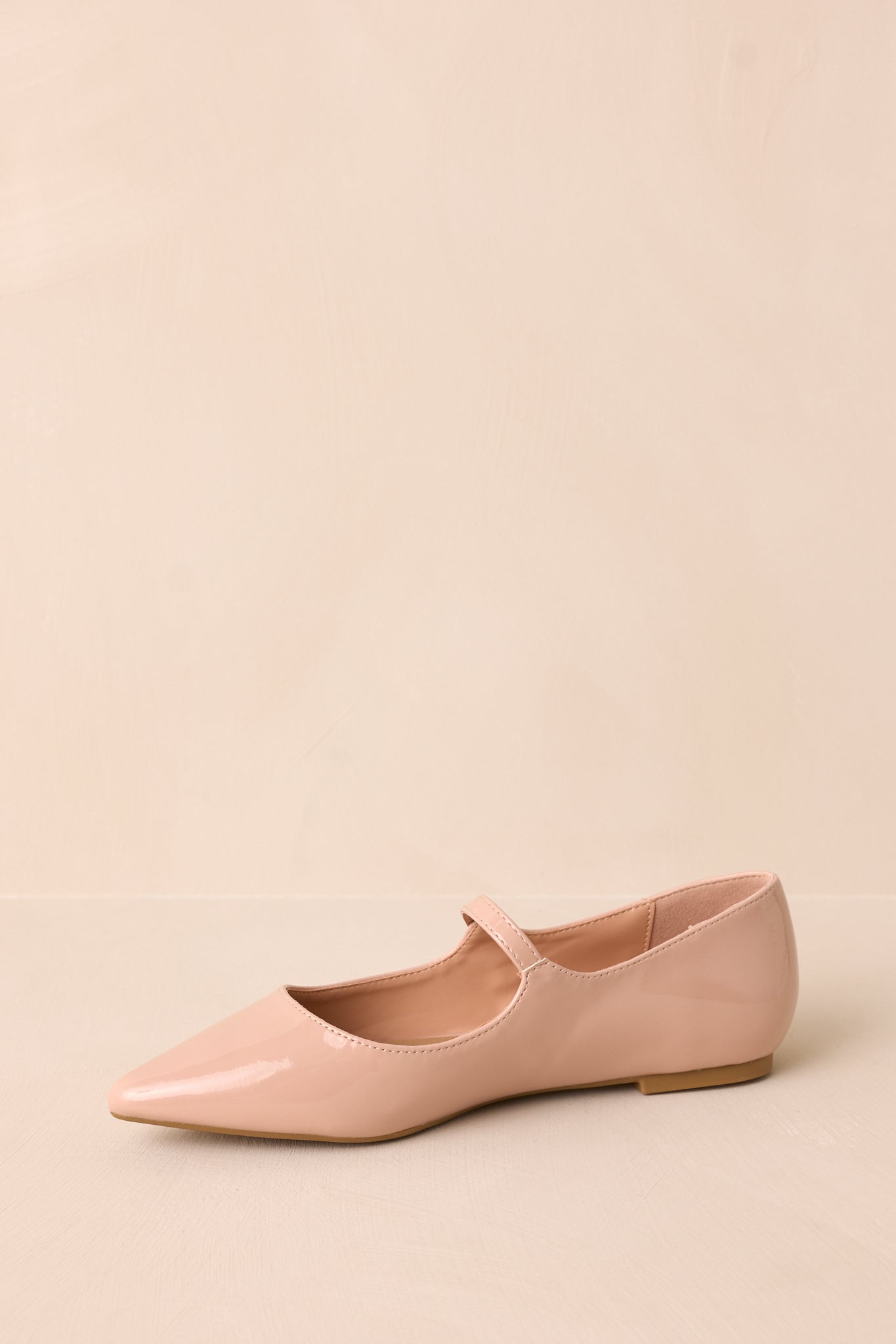 Frostveil Mantle Beige Pointed-Toe Flats